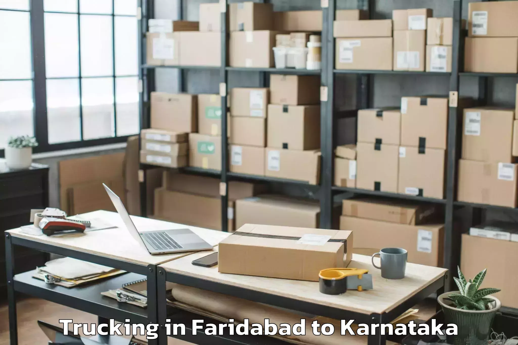 Professional Faridabad to Kalasa Trucking